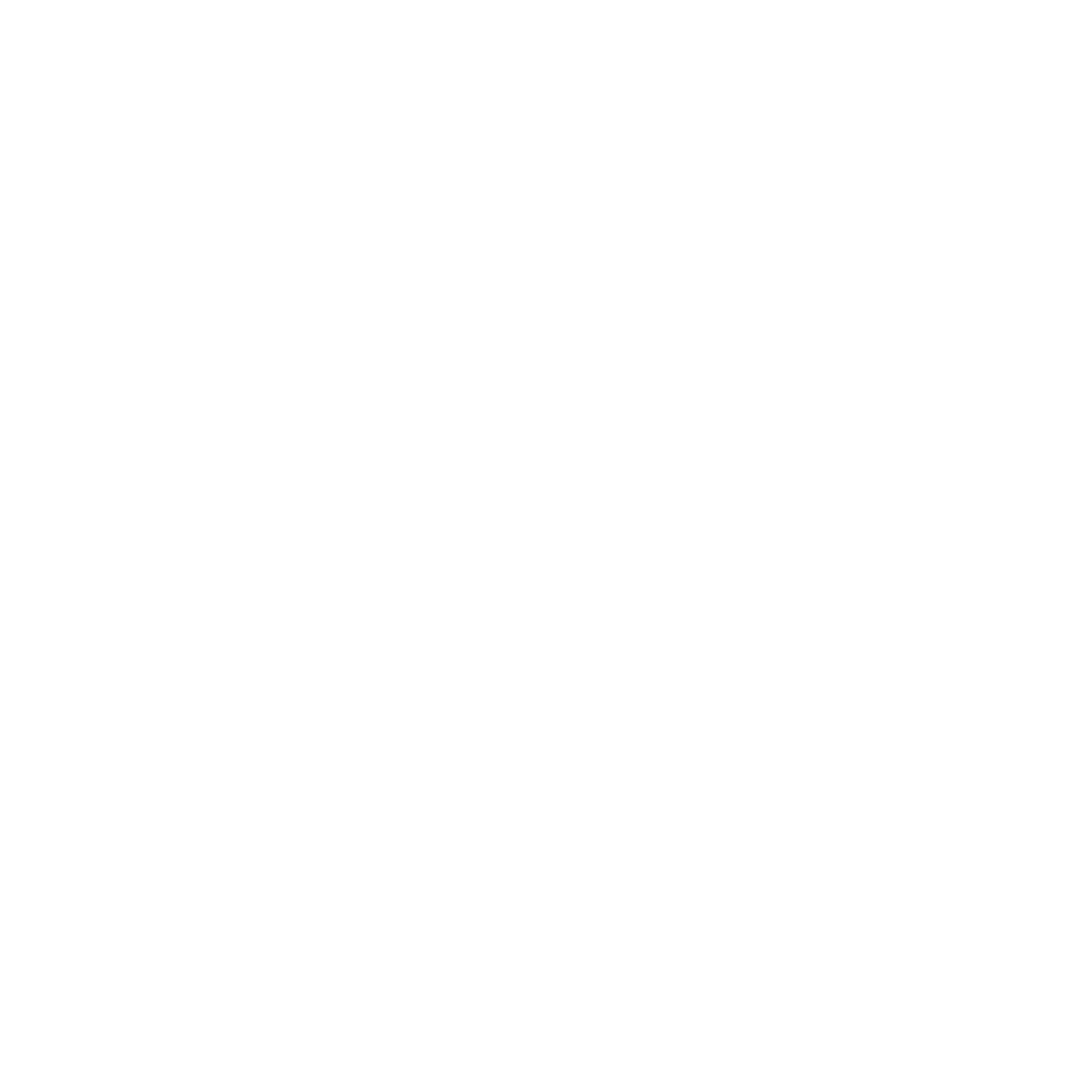 Vokem Logo